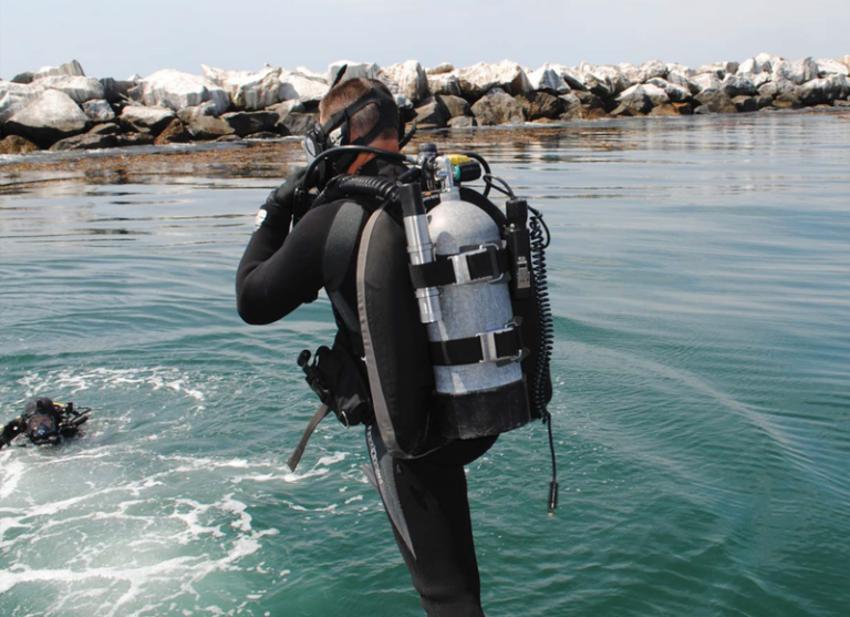 Diver DACAD Systems Naval Technology