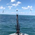 Elbit Systems and Israeli Navy trial Seagull USV with onboard mini UAS