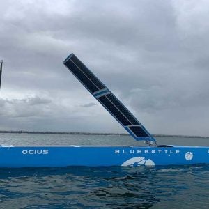 Bluebottle USVs