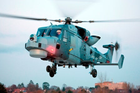 Wildcat helicopters
